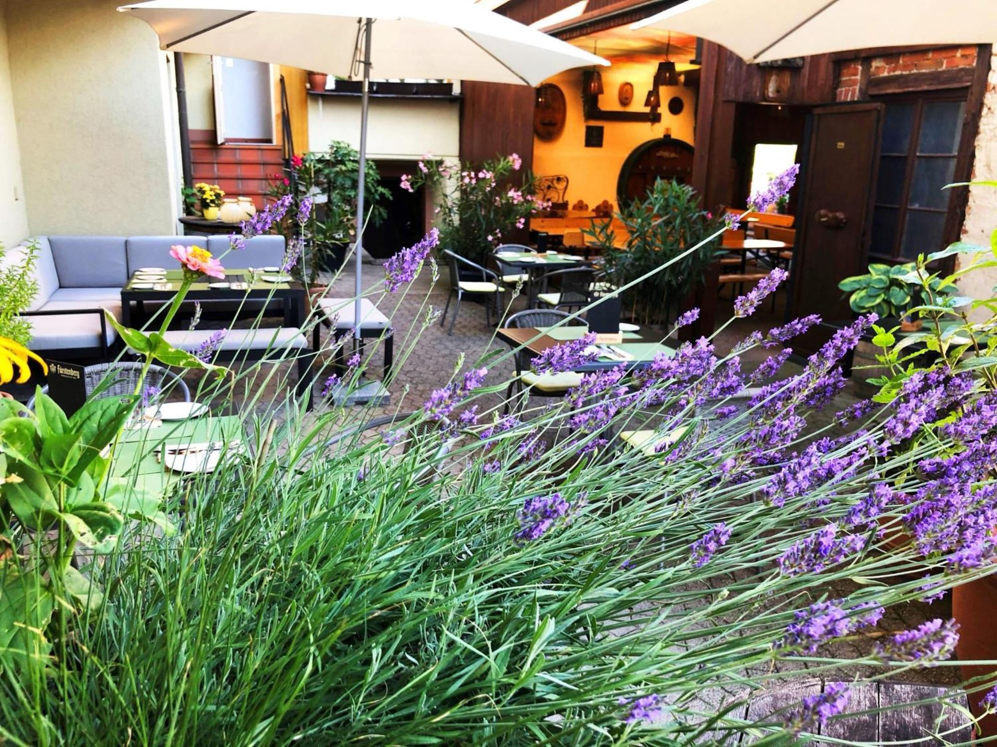 Restaurant&Appartements In Vino Veritas Haslach im Kinzigtal Extérieur photo