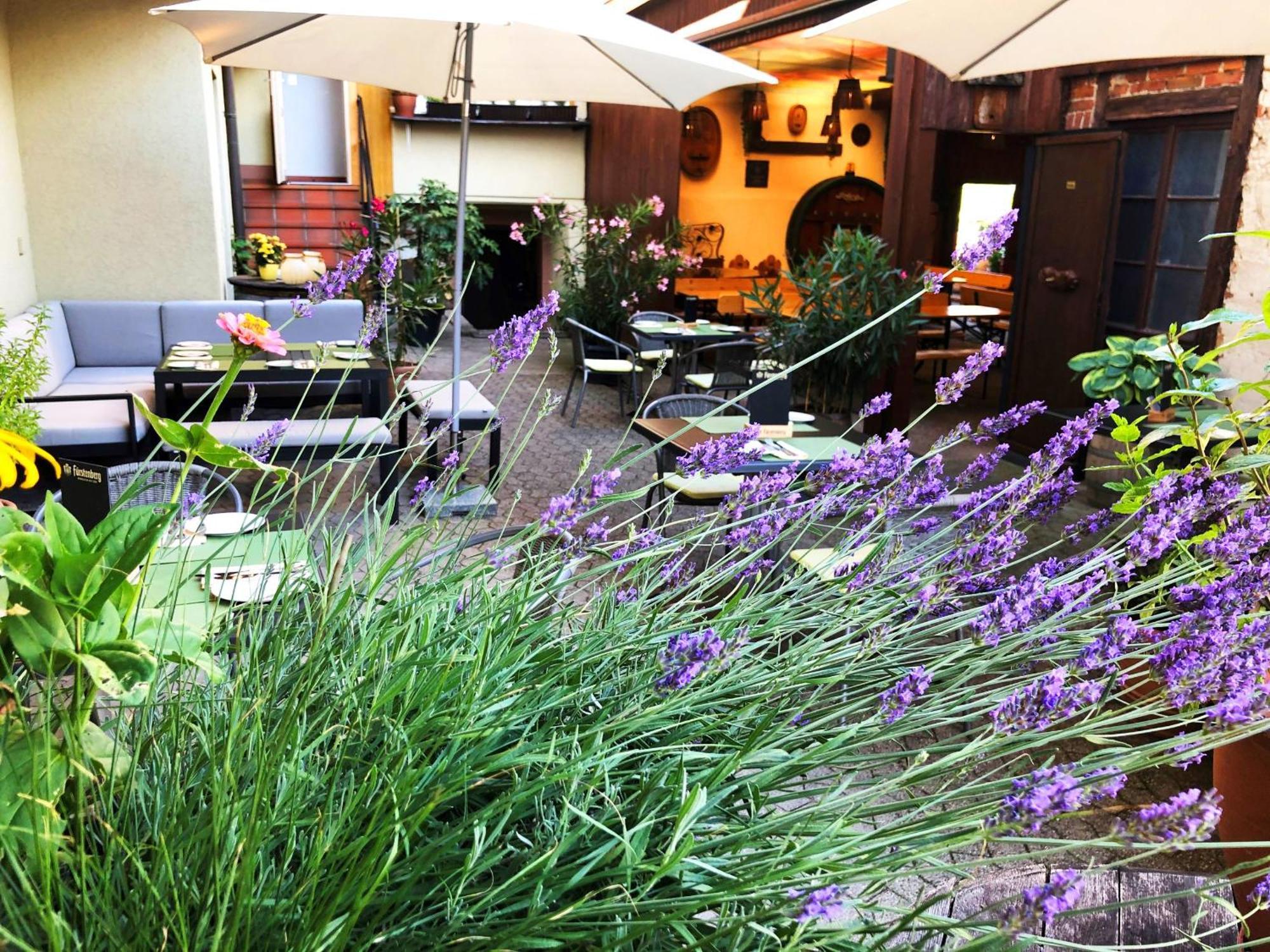 Restaurant&Appartements In Vino Veritas Haslach im Kinzigtal Extérieur photo